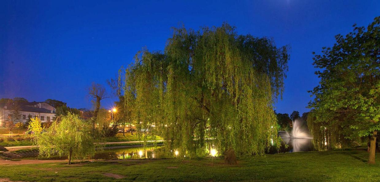 Apartament Solna 80 - Centrum Miasta Z Podziemnym Garazem キェルツェ エクステリア 写真