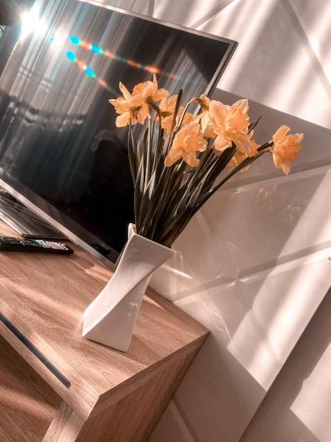 Apartament Solna 80 - Centrum Miasta Z Podziemnym Garazem キェルツェ エクステリア 写真