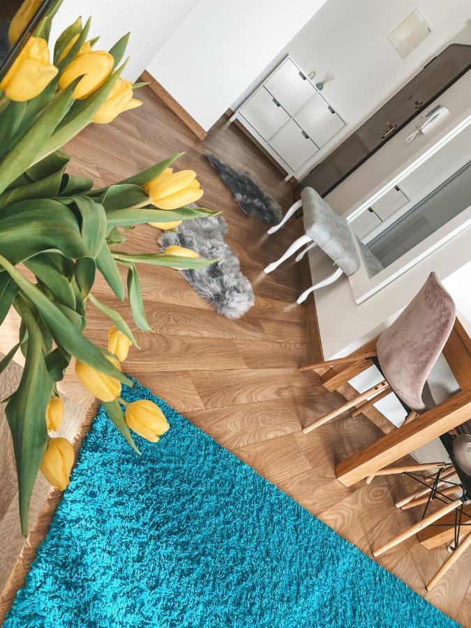 Apartament Solna 80 - Centrum Miasta Z Podziemnym Garazem キェルツェ エクステリア 写真